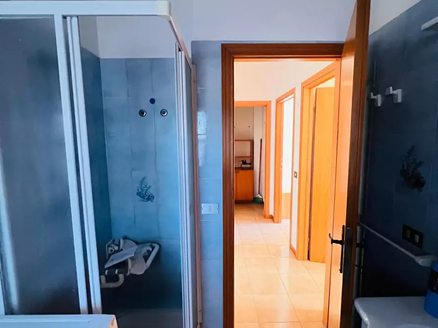 Immagine 10 di Appartamento in vendita  a Montescudaio