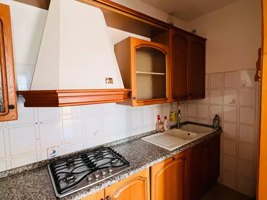 Immagine 5 di Appartamento in vendita  a Montescudaio