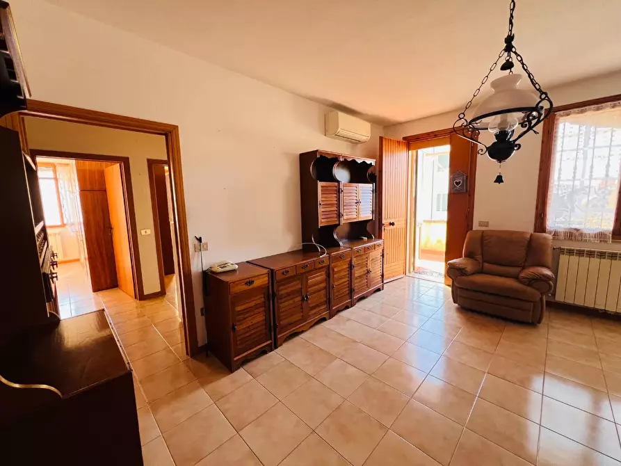 Immagine 1 di Appartamento in vendita  a Montescudaio