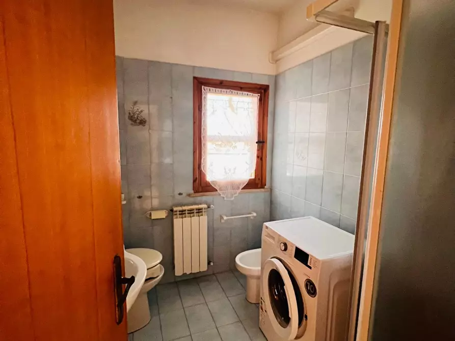 Immagine 8 di Appartamento in vendita  a Montescudaio