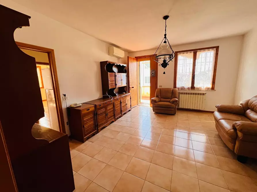 Immagine 6 di Appartamento in vendita  a Montescudaio