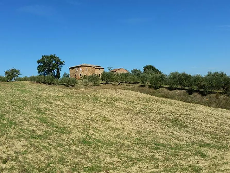 Immagine 9 di Casa colonica in vendita  a Torrita Di Siena