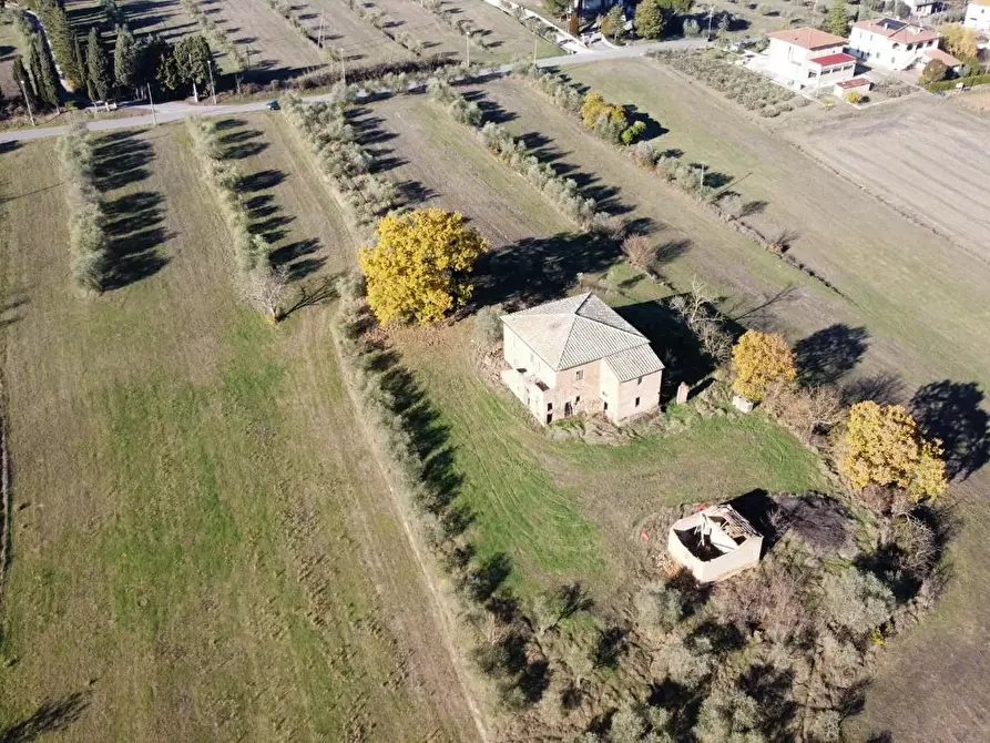 Immagine 3 di Casa colonica in vendita  a Torrita Di Siena