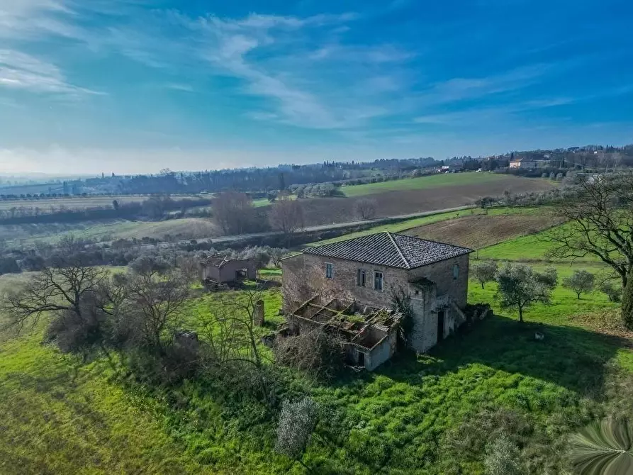 Immagine 18 di Casa colonica in vendita  a Torrita Di Siena