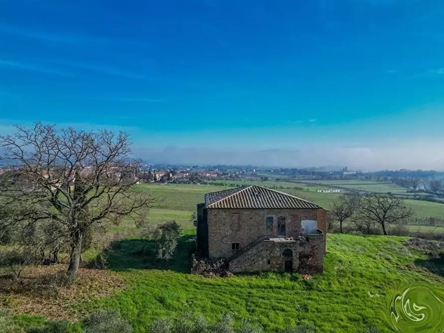 Immagine 37 di Casa colonica in vendita  a Torrita Di Siena