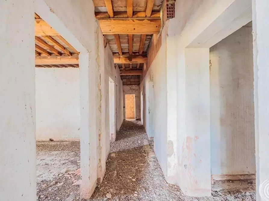 Immagine 40 di Casa colonica in vendita  a Torrita Di Siena