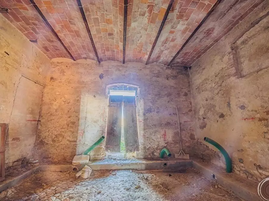 Immagine 22 di Casa colonica in vendita  a Torrita Di Siena