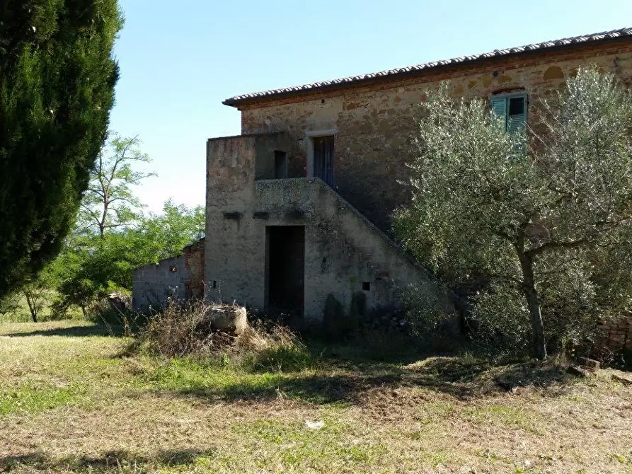 Immagine 4 di Casa colonica in vendita  a Torrita Di Siena