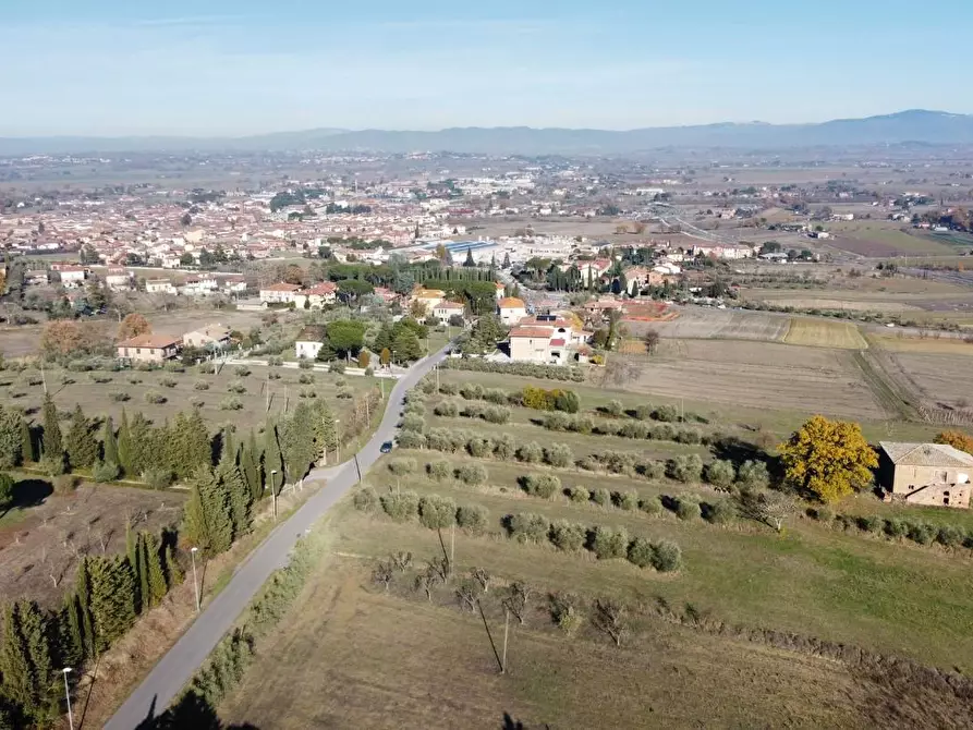 Immagine 25 di Casa colonica in vendita  a Torrita Di Siena
