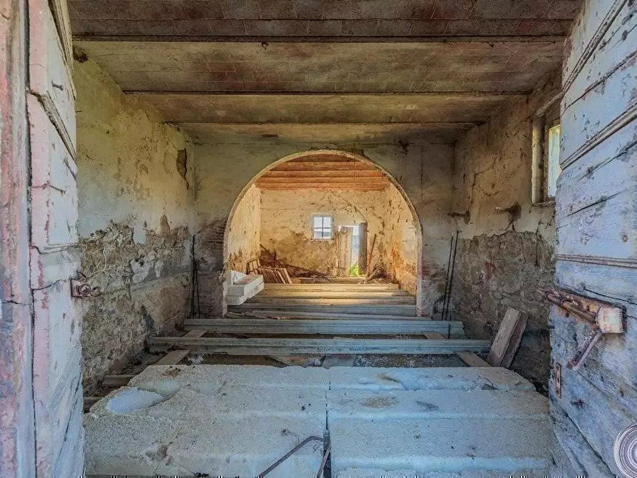 Immagine 17 di Casa colonica in vendita  a Torrita Di Siena