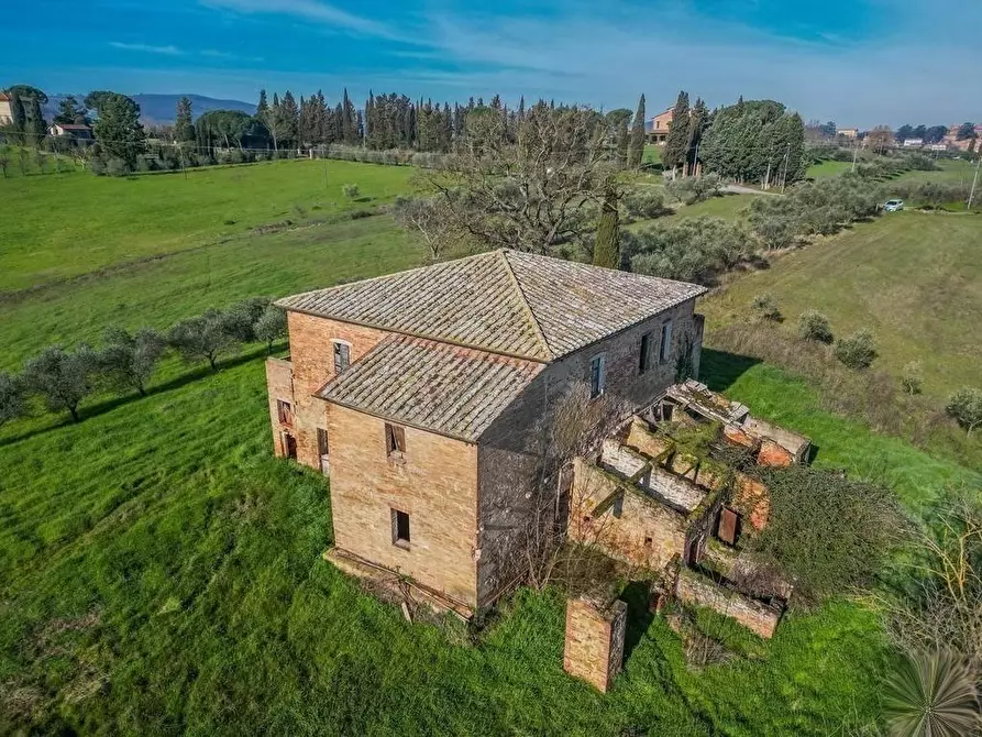 Immagine 19 di Casa colonica in vendita  a Torrita Di Siena