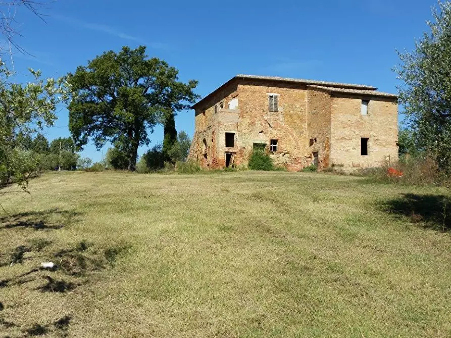 Immagine 15 di Casa colonica in vendita  a Torrita Di Siena