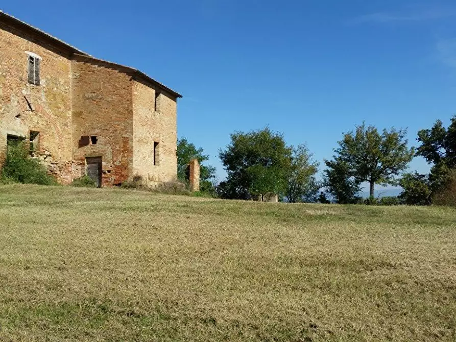 Immagine 34 di Casa colonica in vendita  a Torrita Di Siena