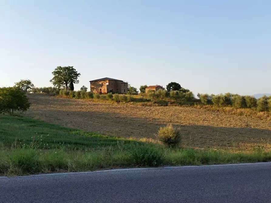 Immagine 16 di Casa colonica in vendita  a Torrita Di Siena