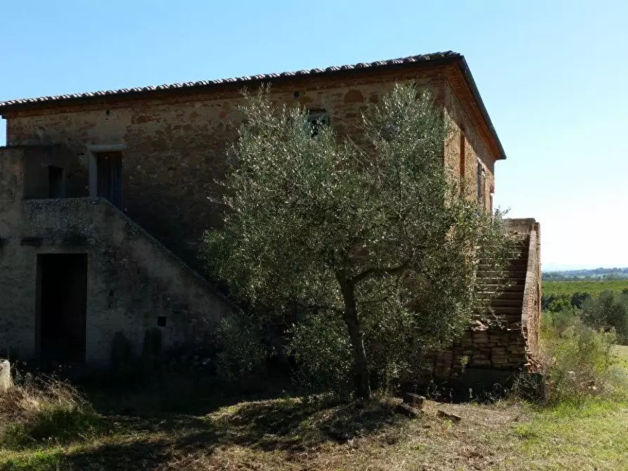 Immagine 29 di Casa colonica in vendita  a Torrita Di Siena