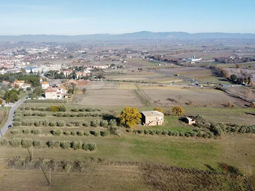 Immagine 26 di Casa colonica in vendita  a Torrita Di Siena