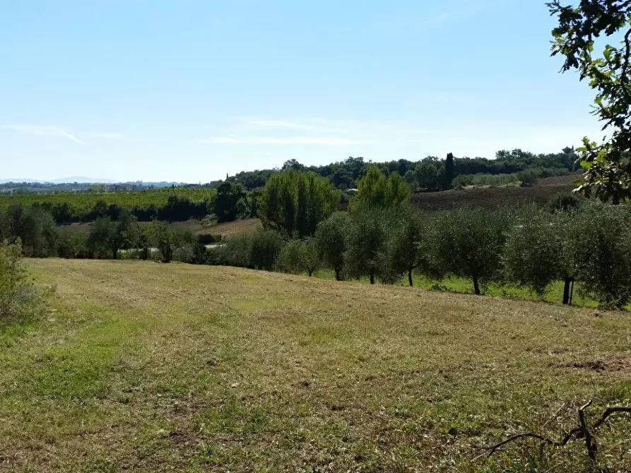 Immagine 12 di Casa colonica in vendita  a Torrita Di Siena