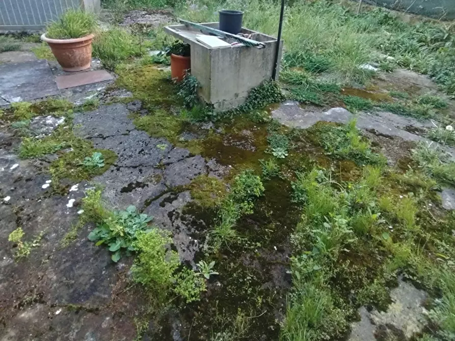 Immagine 7 di Casa semindipendente in vendita  a Massa