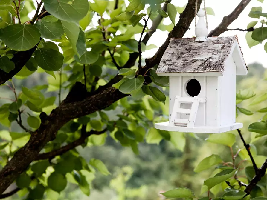 Immagine 10 di Deposito in vendita  a Montopoli In Val D'arno