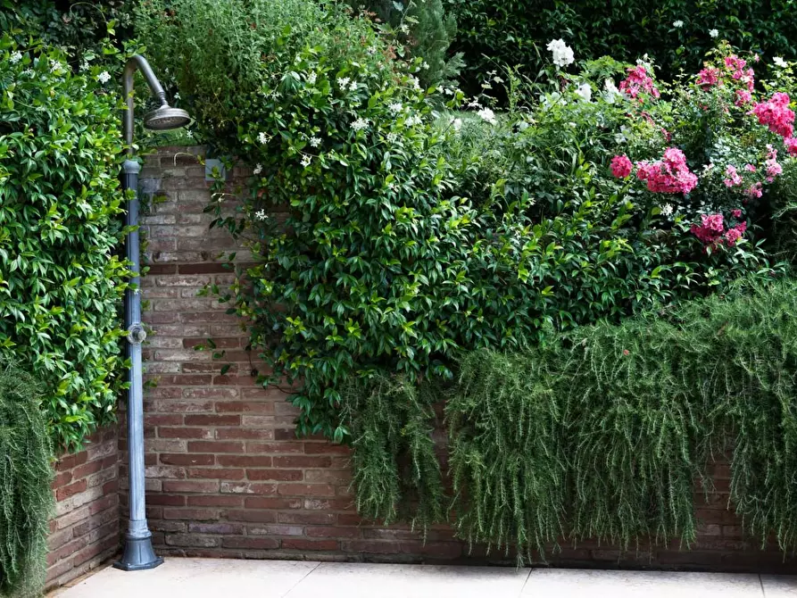 Immagine 6 di Deposito in vendita  a Montopoli In Val D'arno