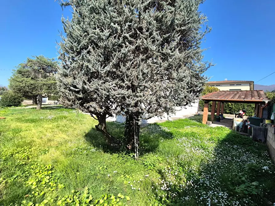 Immagine 6 di Villa in vendita  a Capannori