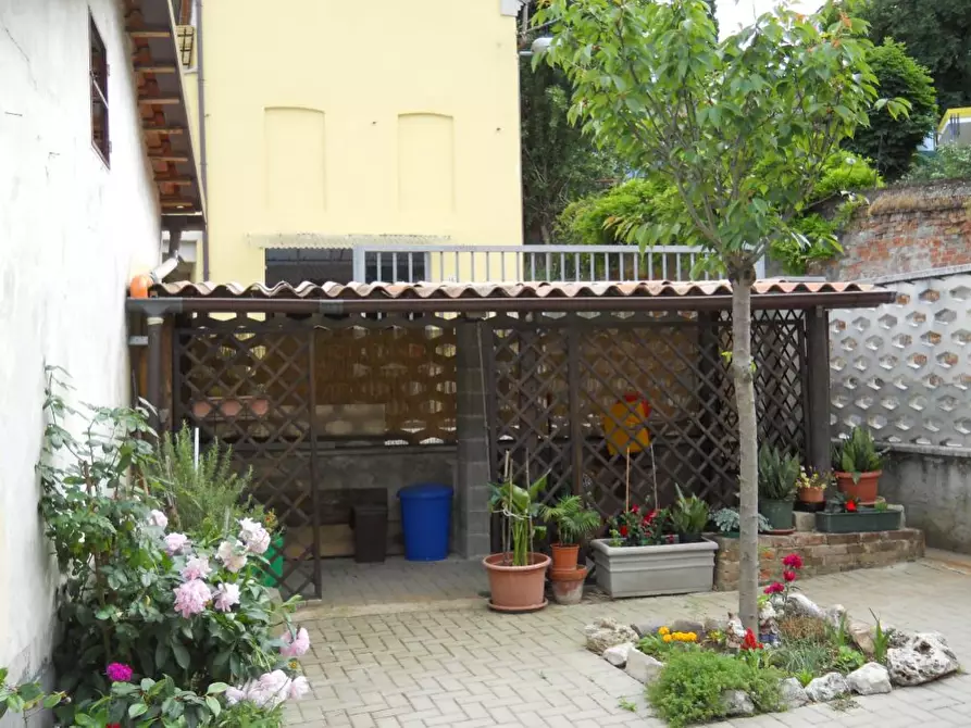 Immagine 3 di Villa in vendita  a Castelletto Monferrato