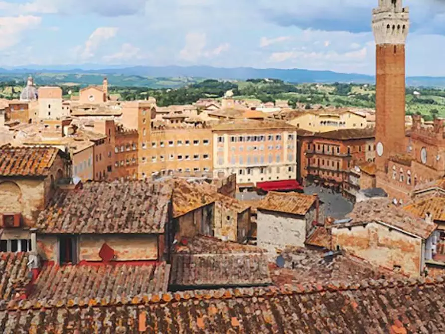 Immagine 3 di Attività commerciale in vendita  a Siena