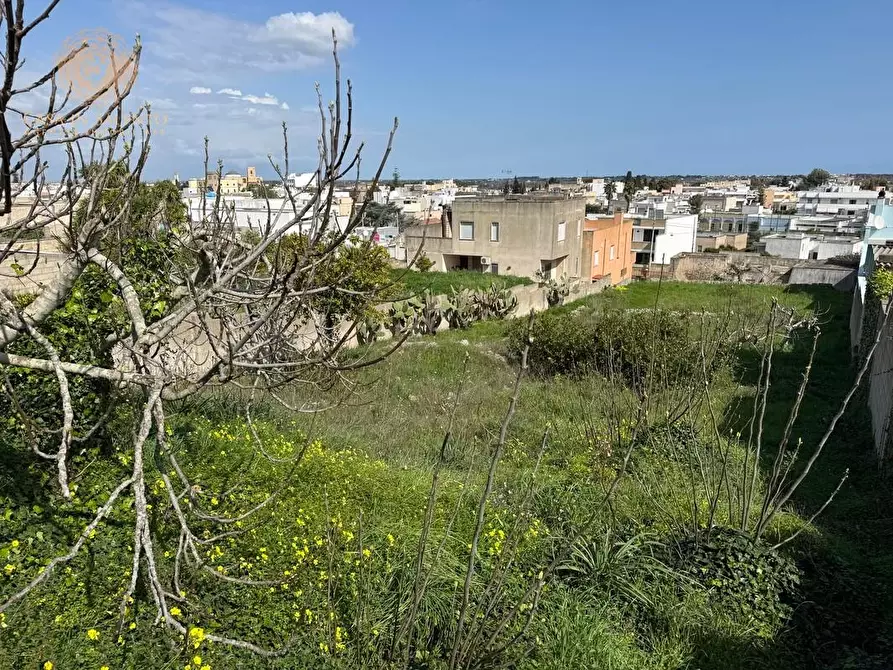 Immagine 9 di Rustico / casale in vendita  a Alessano
