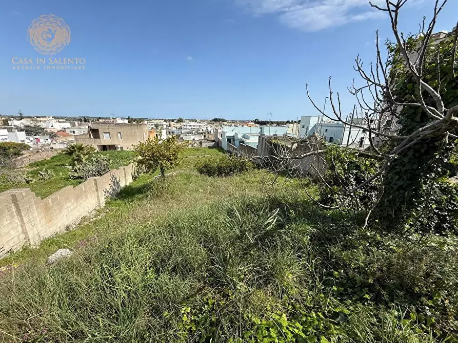 Immagine 14 di Rustico / casale in vendita  a Alessano