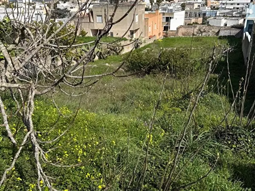 Immagine 12 di Rustico / casale in vendita  a Alessano