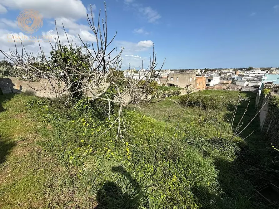 Immagine 10 di Rustico / casale in vendita  a Alessano