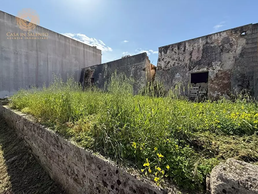 Immagine 6 di Rustico / casale in vendita  a Alessano