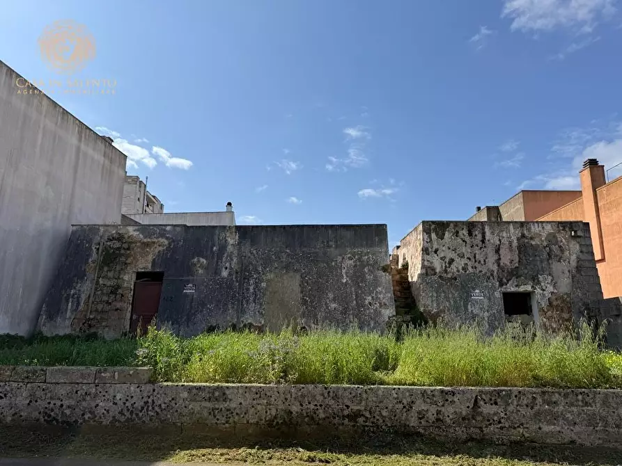 Immagine 4 di Rustico / casale in vendita  a Alessano