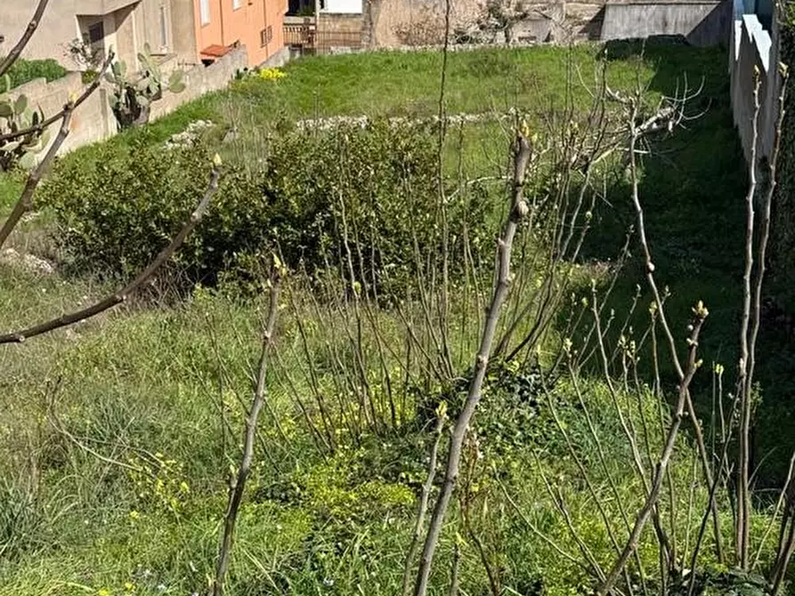 Immagine 11 di Rustico / casale in vendita  a Alessano