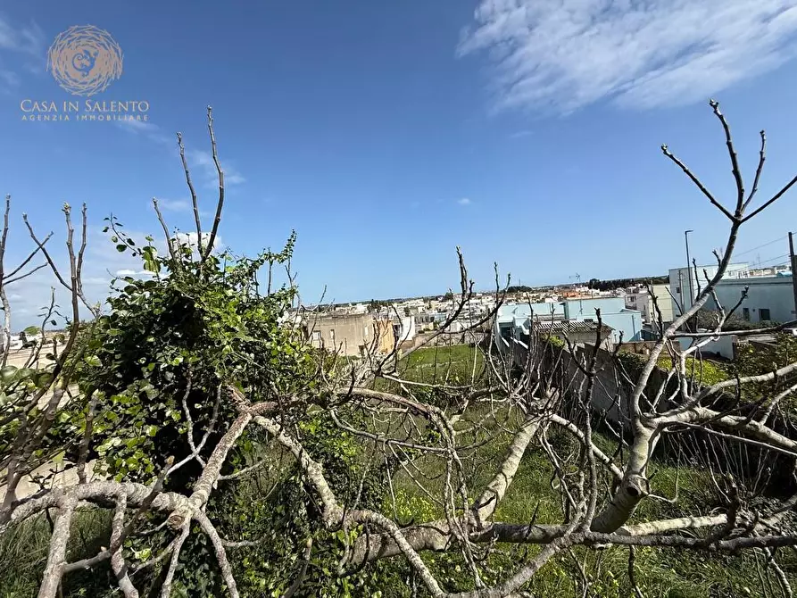 Immagine 13 di Rustico / casale in vendita  a Alessano