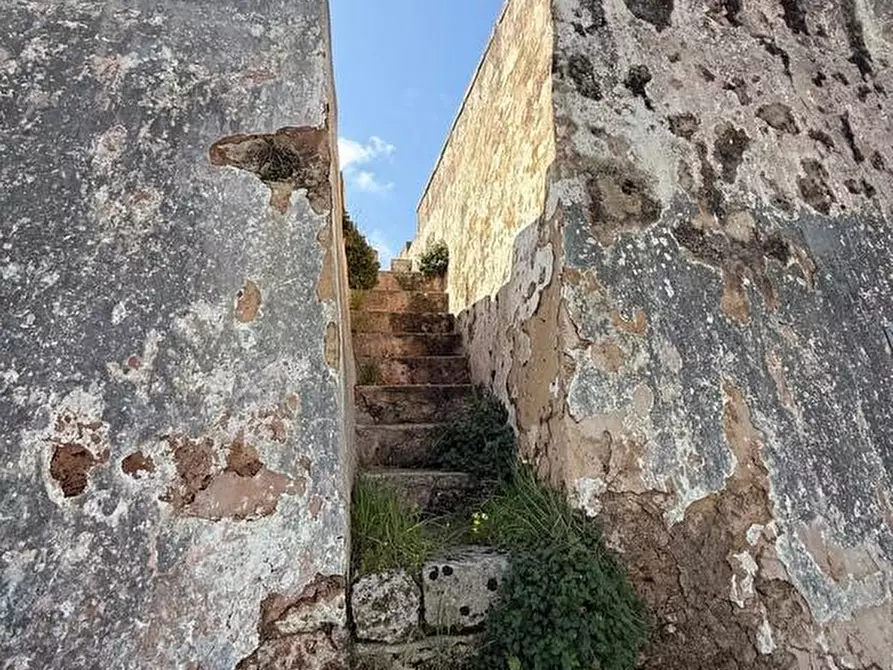 Immagine 19 di Rustico / casale in vendita  a Alessano