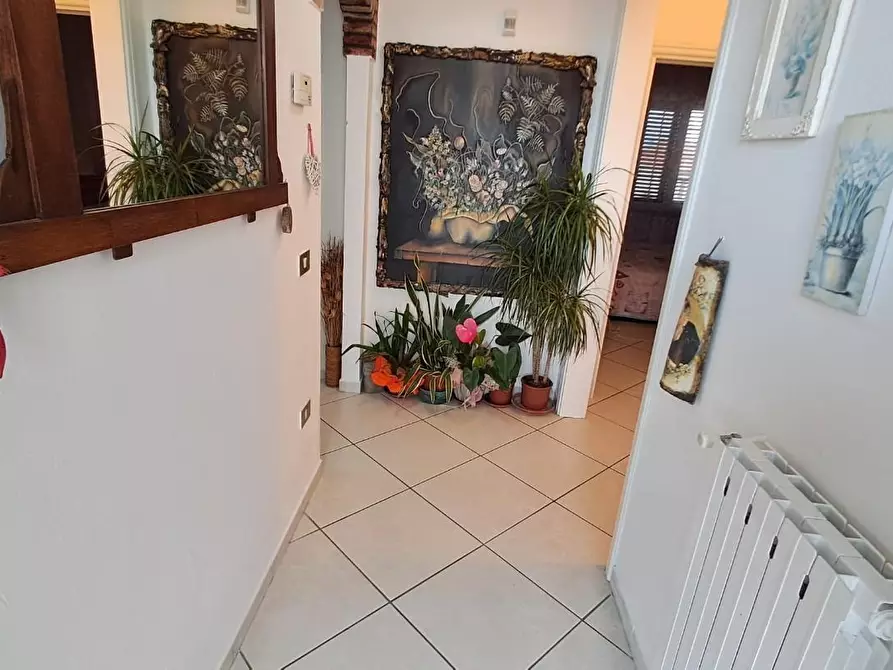 Immagine 6 di Appartamento in vendita  a Cecina