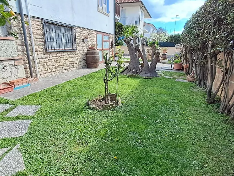 Immagine 2 di Appartamento in vendita  a Cecina