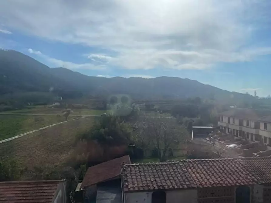 Immagine 22 di Terratetto in vendita  a Vecchiano