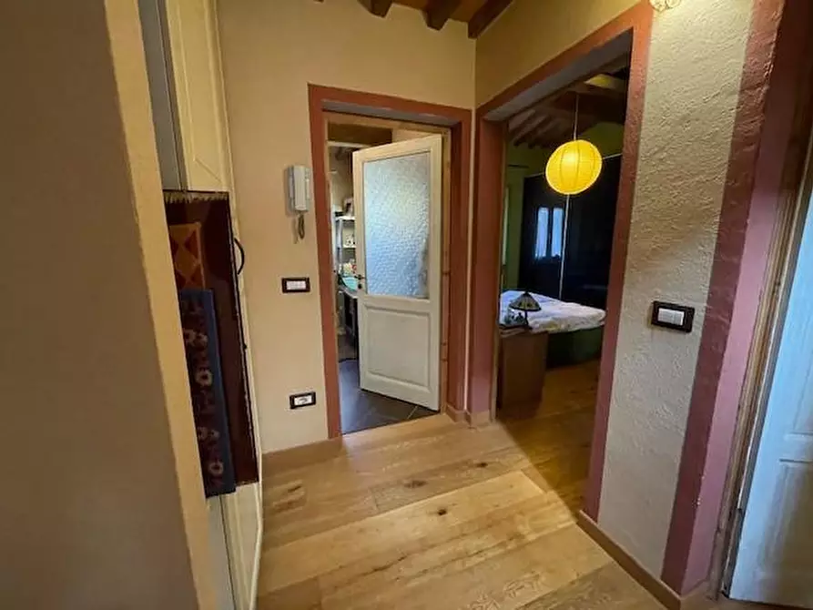 Immagine 9 di Terratetto in vendita  a Vecchiano