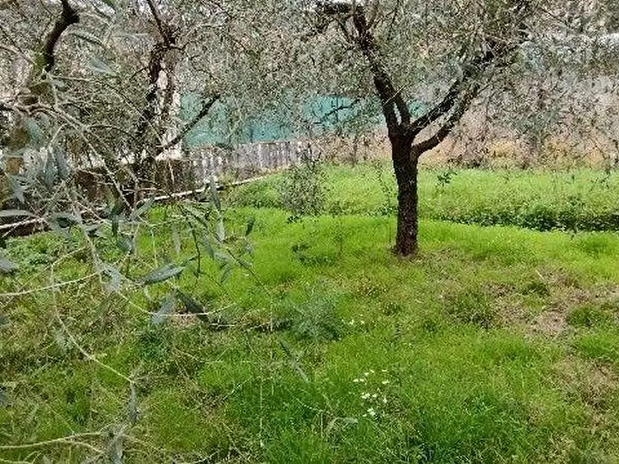 Immagine 18 di Casa indipendente in vendita  a Massarosa