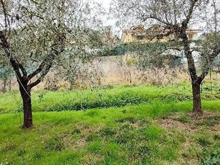 Immagine 15 di Casa indipendente in vendita  a Massarosa