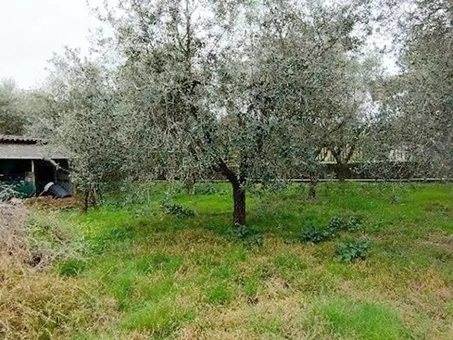 Immagine 14 di Casa indipendente in vendita  a Massarosa