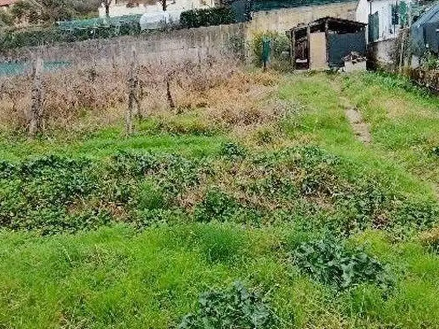 Immagine 17 di Casa indipendente in vendita  a Massarosa