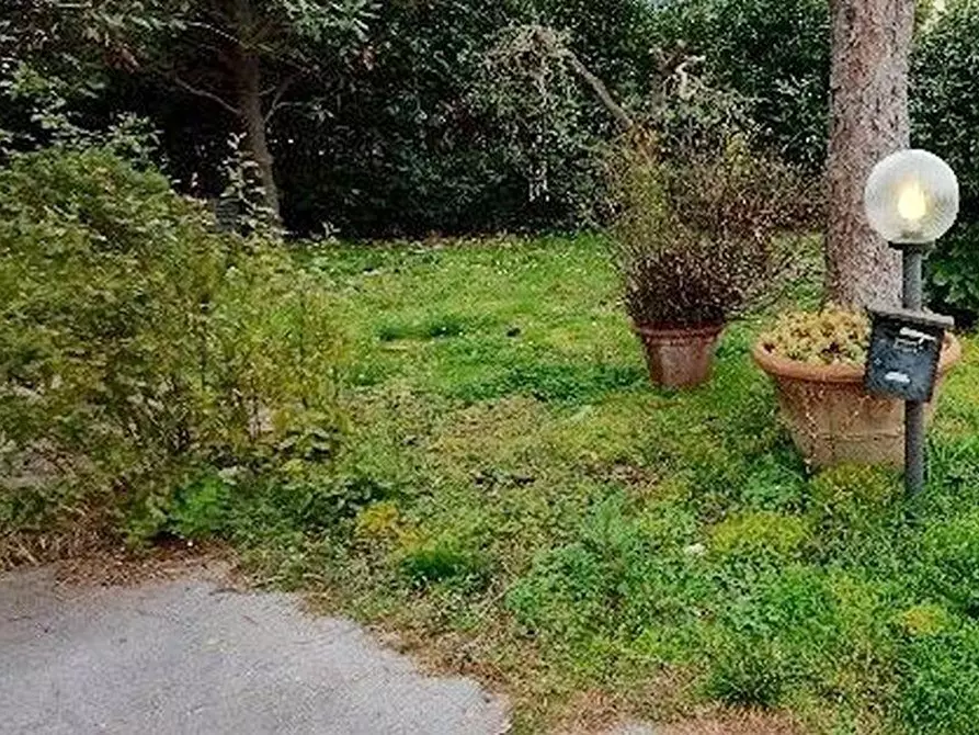 Immagine 4 di Casa indipendente in vendita  a Massarosa