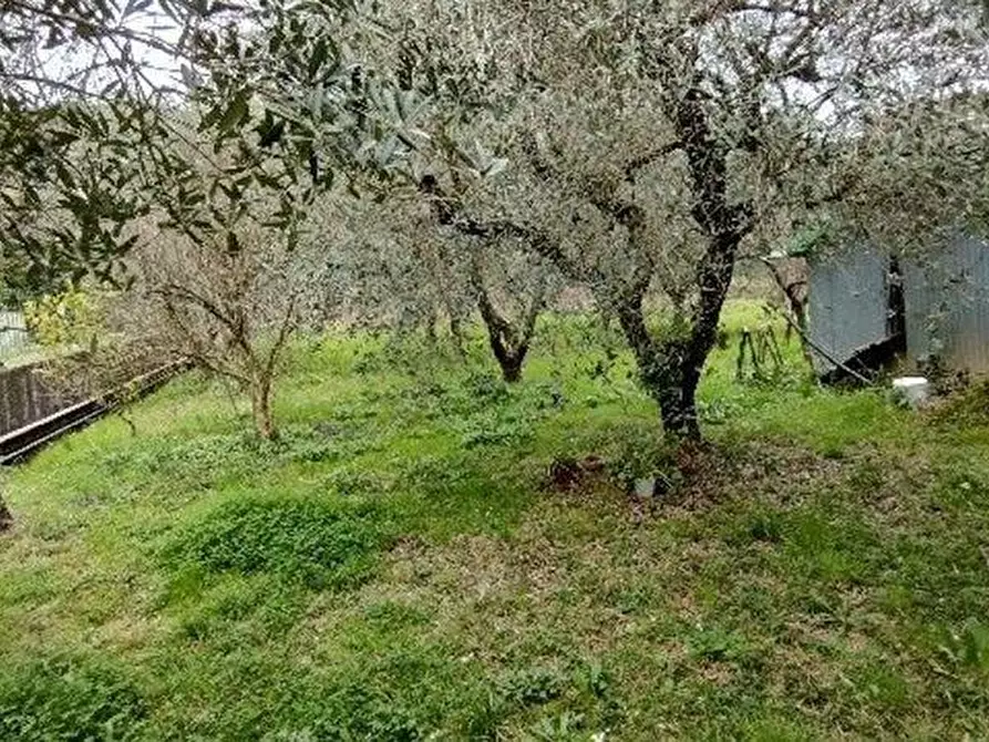 Immagine 11 di Casa indipendente in vendita  a Massarosa