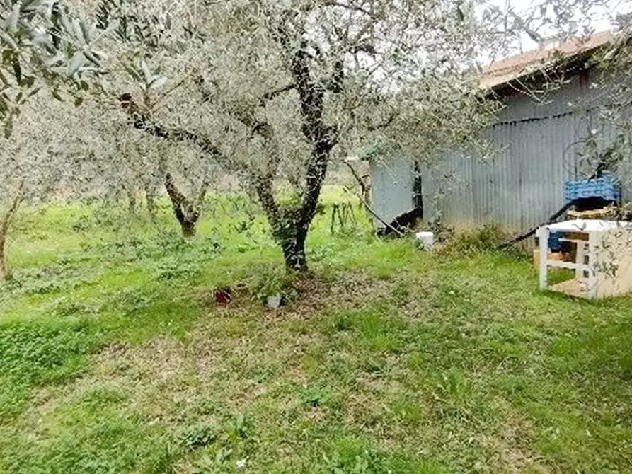 Immagine 13 di Casa indipendente in vendita  a Massarosa