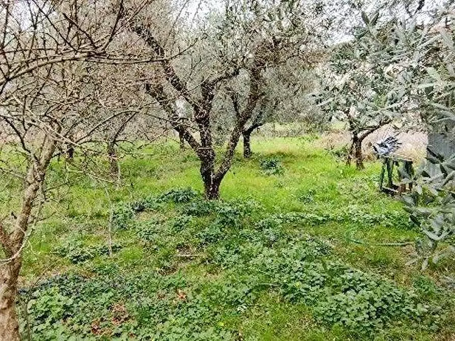 Immagine 16 di Casa indipendente in vendita  a Massarosa