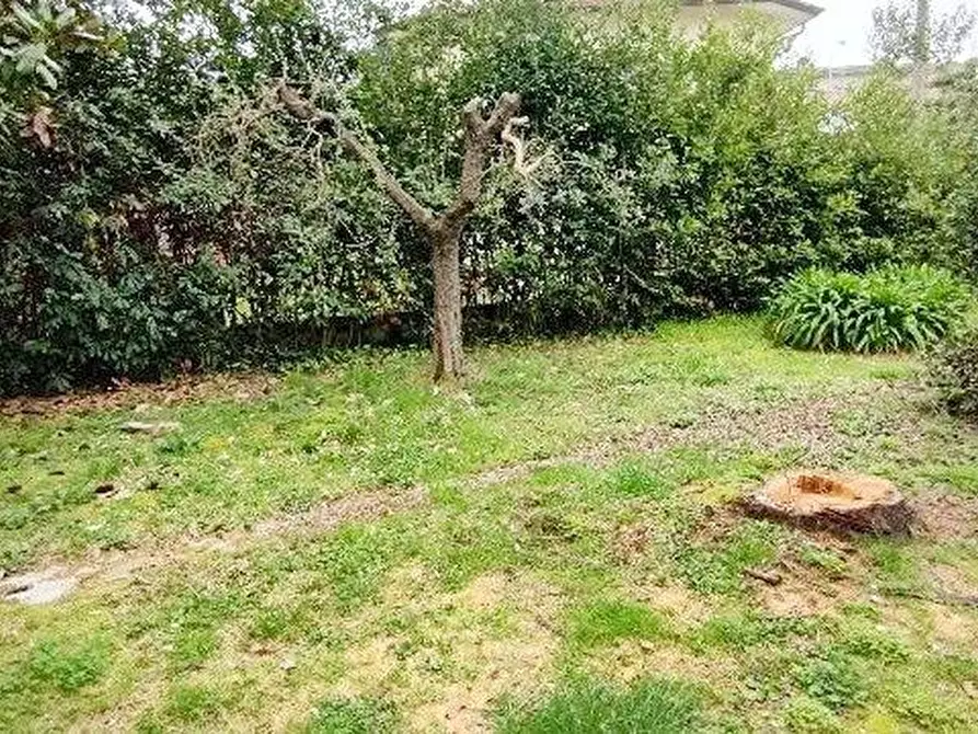 Immagine 5 di Casa indipendente in vendita  a Massarosa