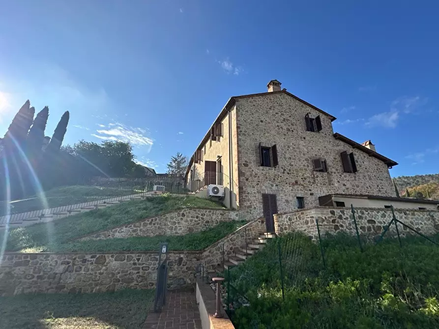 Immagine 3 di Appartamento in vendita  a Sovicille